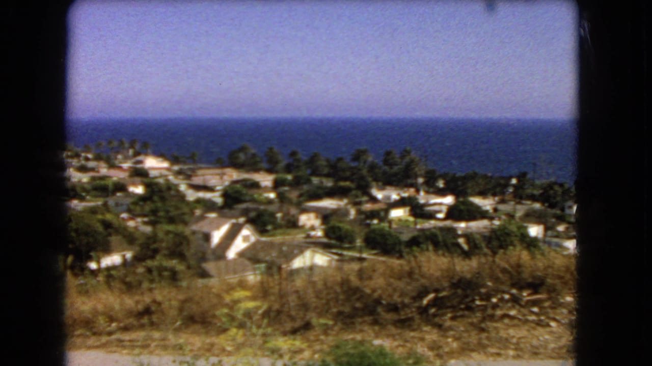 Coastal homes and trees seen from a hillside with ocean beyond.