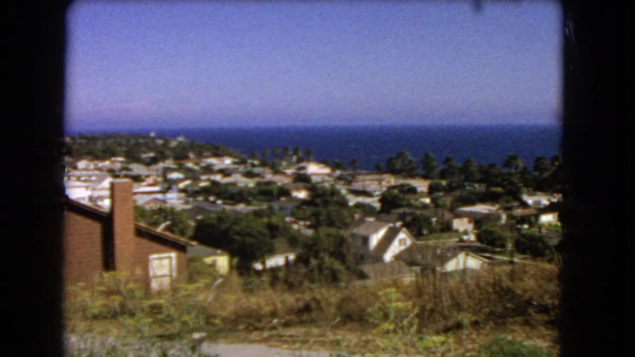 Coastal hillside neighborhood with houses, trees, dry foreground plants, and ocean horizon.