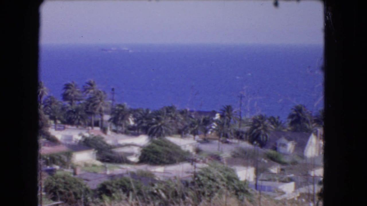 Elevated view of coastal homes, palm trees, and blue ocean beyond.
