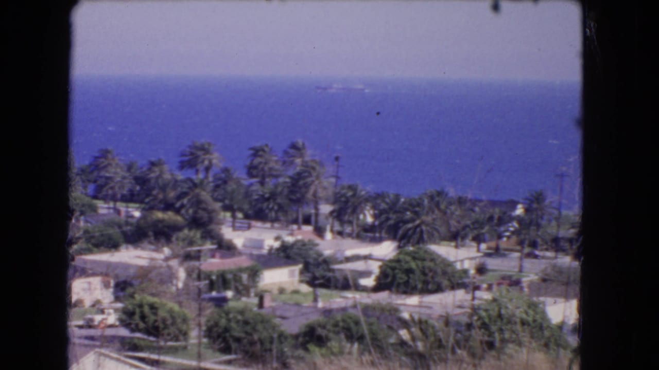 Palm trees and low coastal buildings with ocean stretching behind them.