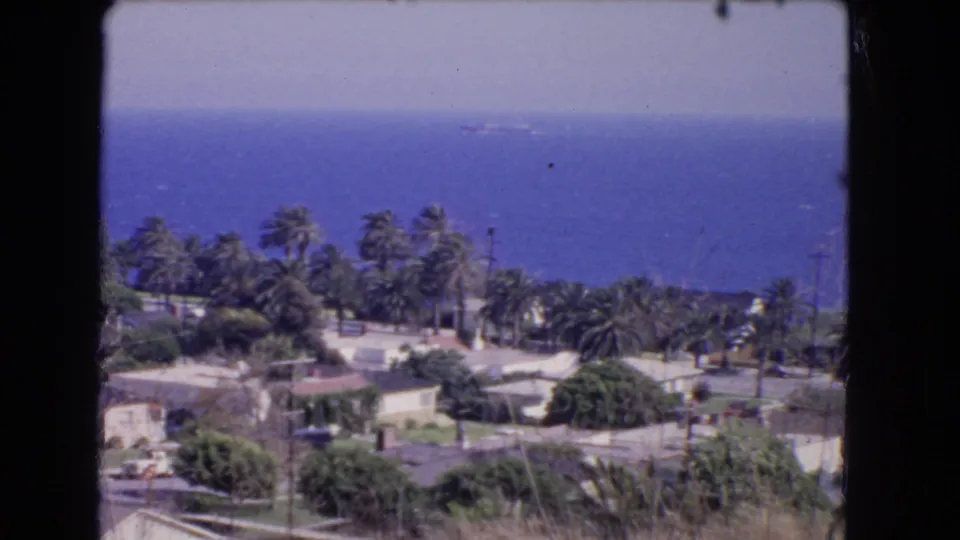 Elevated 1966 view across a Los Angeles seaside neighborhood, showing palms, rooftops, and deep blue water.