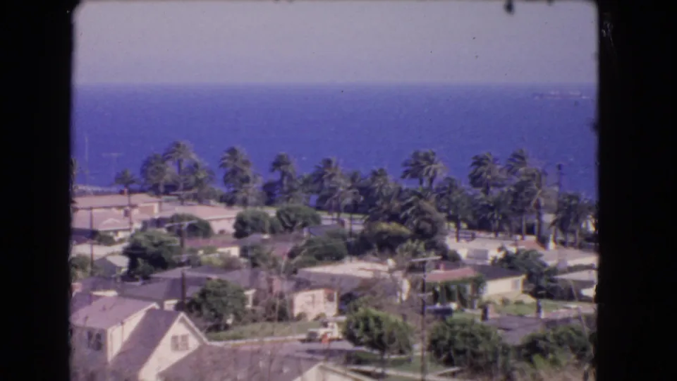 1966 Los Angeles coastal view with a pale foreground house, clustered palms, rooftops, and ocean horizon.