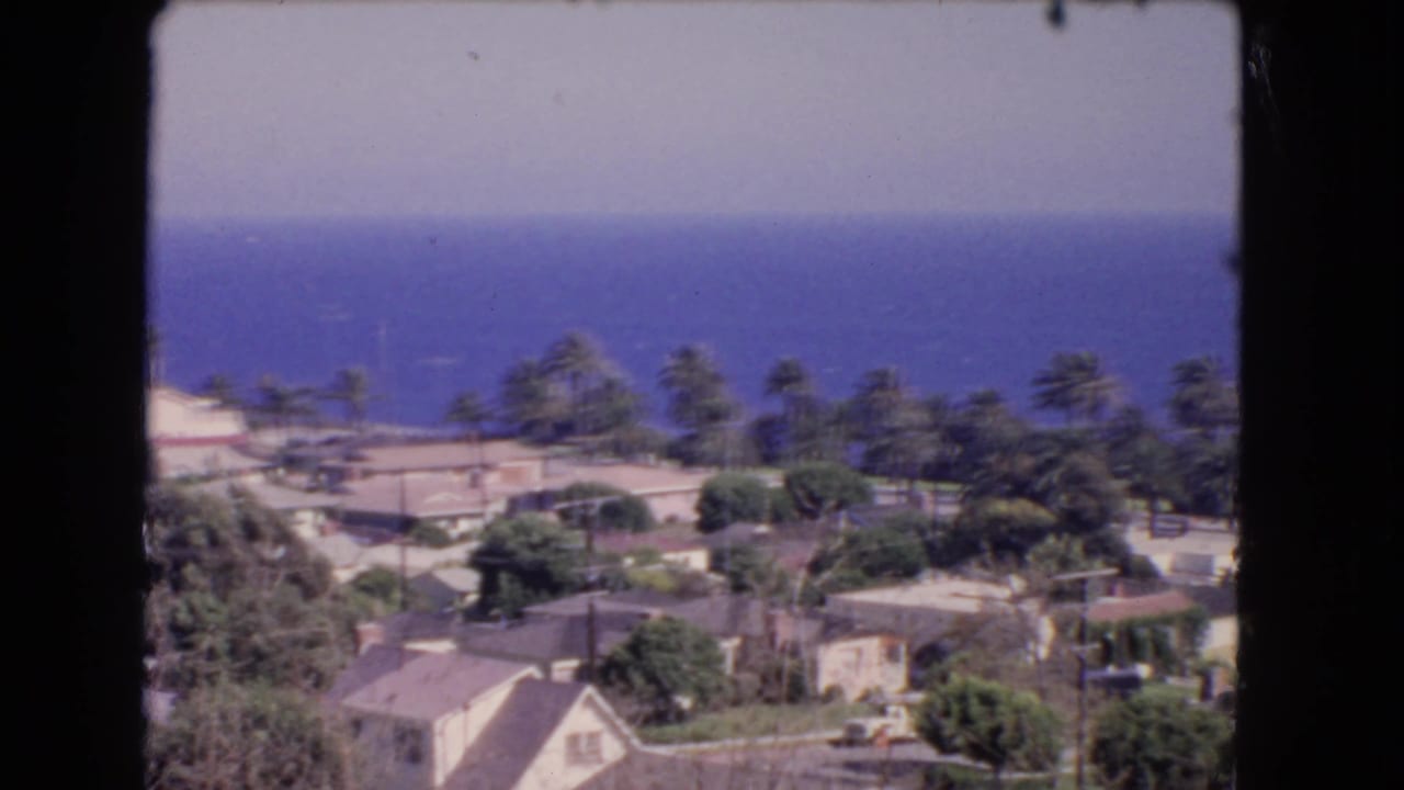 Coastal neighborhood rooftops and palm trees below a blue ocean horizon.