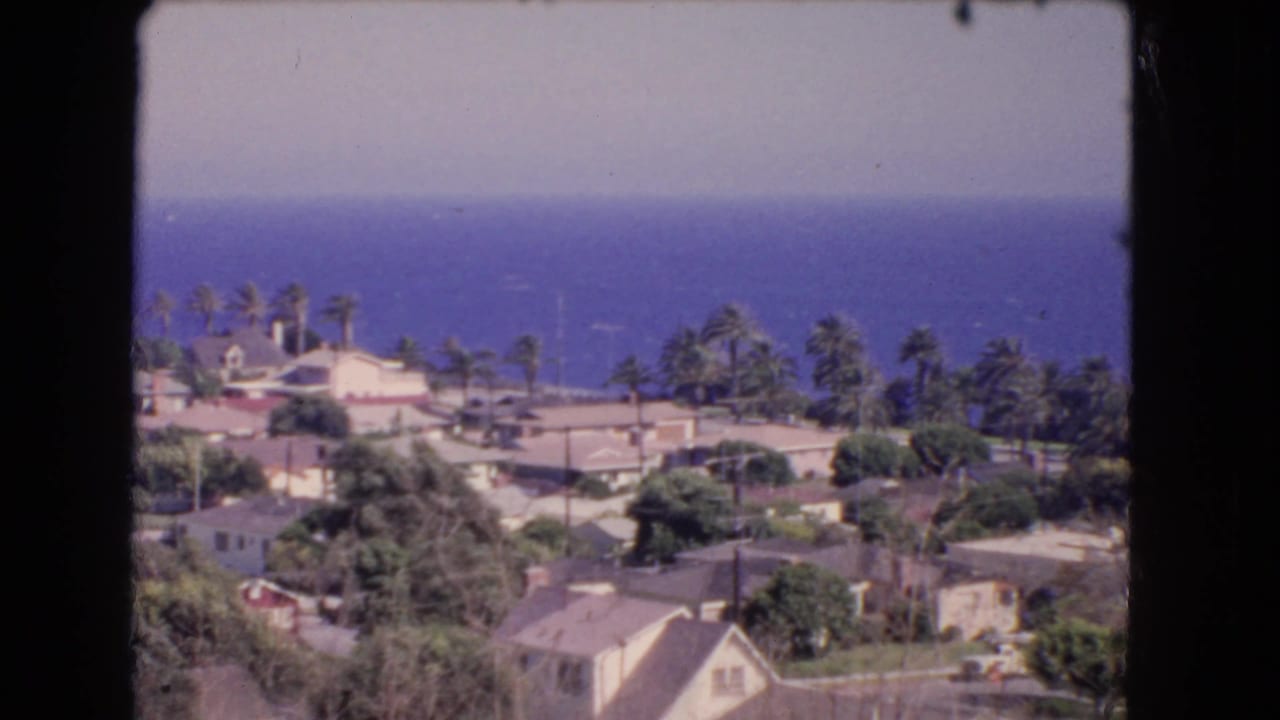 Palm-lined homes and greenery overlooking the blue sea.