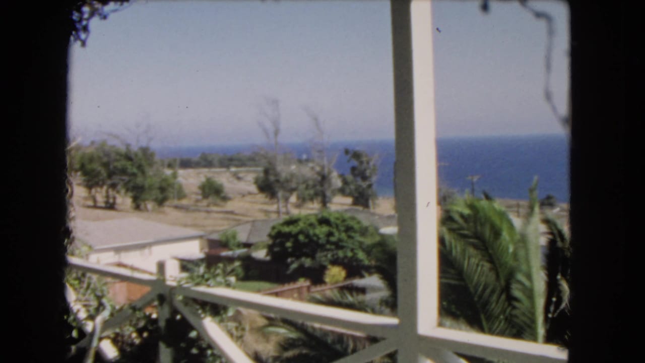 White balcony posts frame palms, rooftops, coastal land, and a blue ocean horizon.