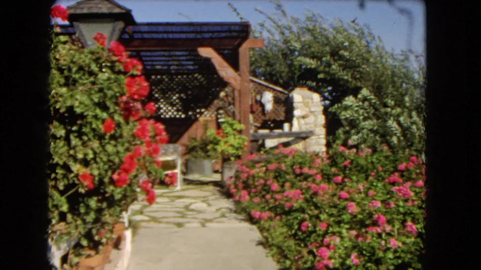 1966 Los Angeles home-movie frame showing a stone path, wooden pergola, house exterior, and red and pink flowering shrubs.