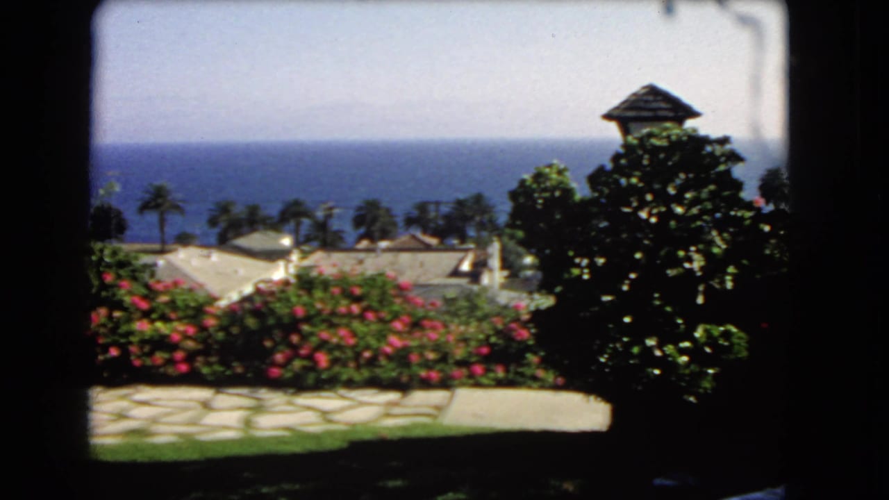 Coastal garden with red flowers, shrubs, palm trees, rooftops, ocean, and small tower-like structure.