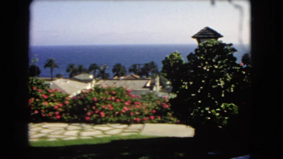 1966 Los Angeles garden overlook with red flowering shrubs, palm-lined coast, rooftops below, and blue ocean beyond.