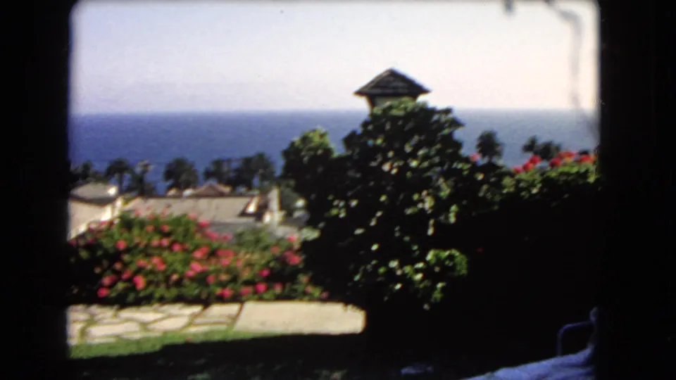Soft 8mm view from shade across a Los Angeles coastal garden, with stone paving, red flowers, palms, rooftops, and ocean horizon.