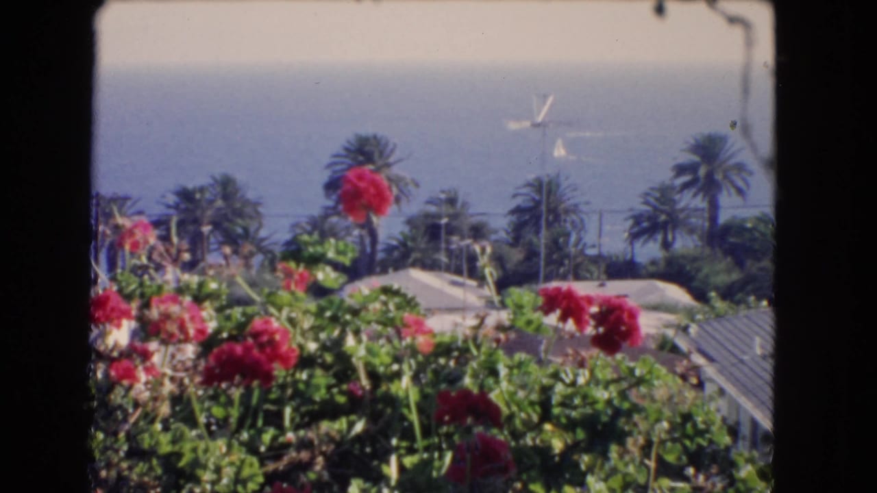 Red garden flowers and palms overlook rooftops and the blue ocean.