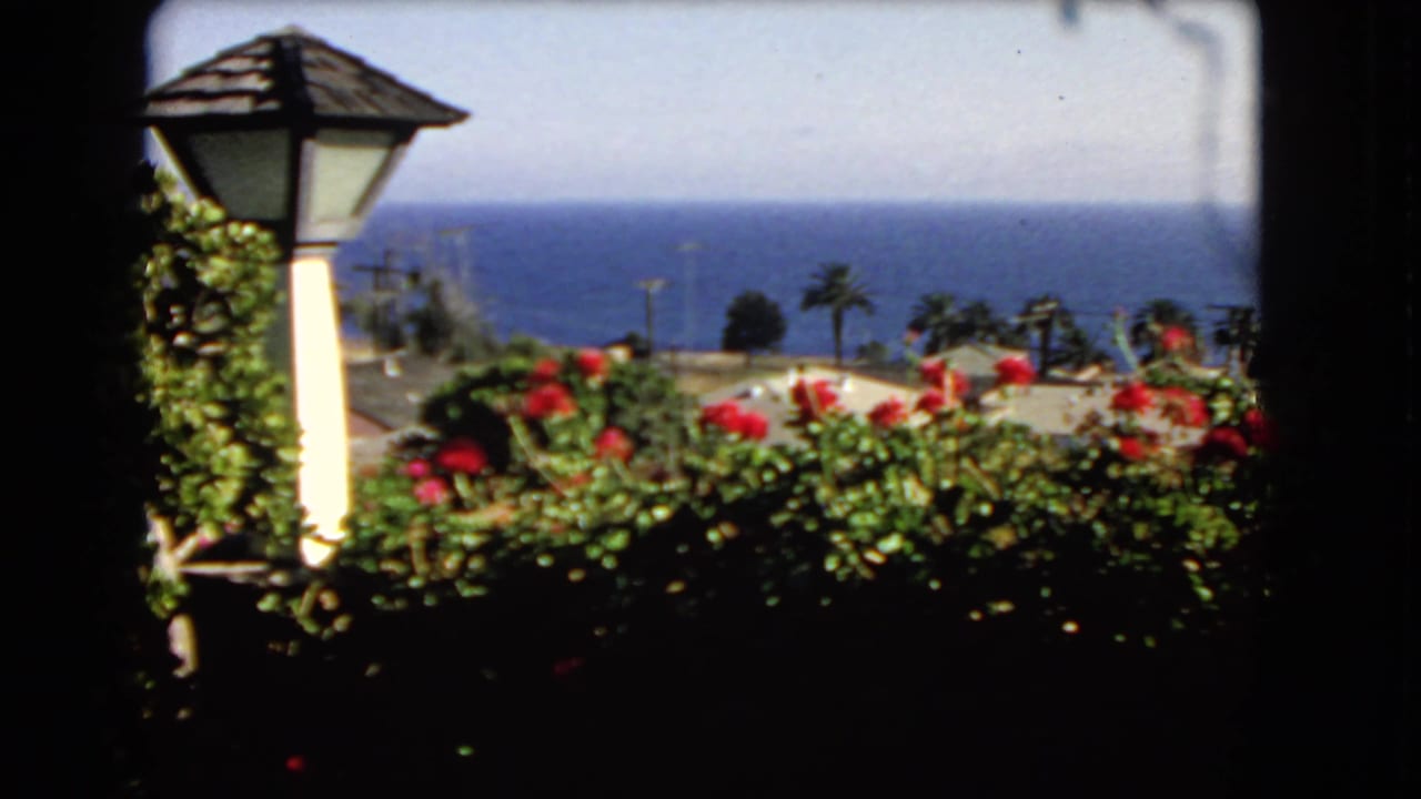 Lantern-style post, flowering plants, palms, and ocean beyond a hillside.