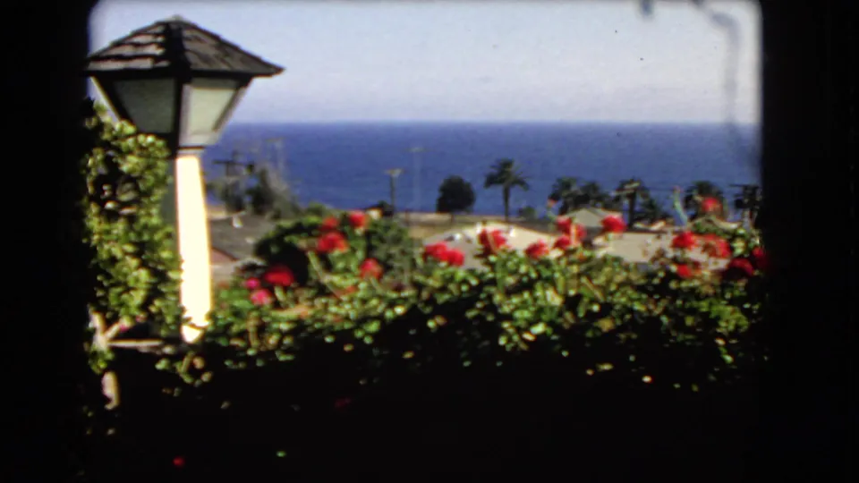 A lantern-style garden post and red flowers appear above a Los Angeles coastal view with palms and blue ocean.
