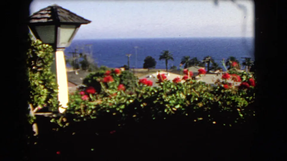 The 8mm frame shows a garden lamp, dense flowering plants, palms, rooftops, and the Los Angeles shoreline beyond.
