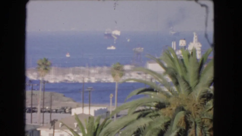 1966 Los Angeles coastal view with a large palm in the foreground, hazy ocean, small boats offshore, shoreline, and utility poles below.
