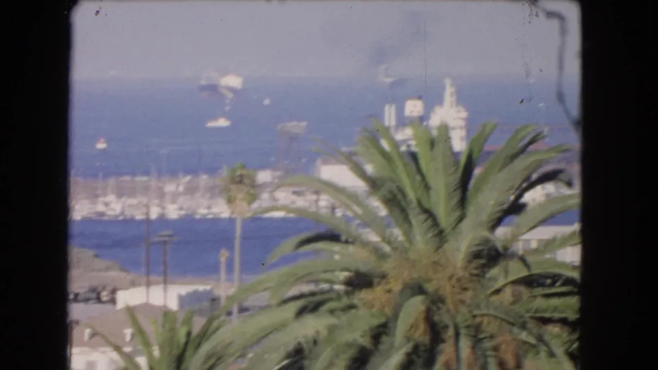 1966 Los Angeles harbor scene with palm fronds in the foreground, hazy blue water, distant boats, low rooftops, shoreline, and utility poles.
