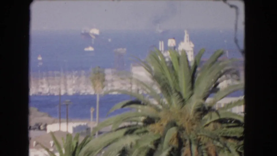 1966 Los Angeles harbor view with palm trees in the foreground, distant boats or masts, and hazy shoreline structures beyond the water.