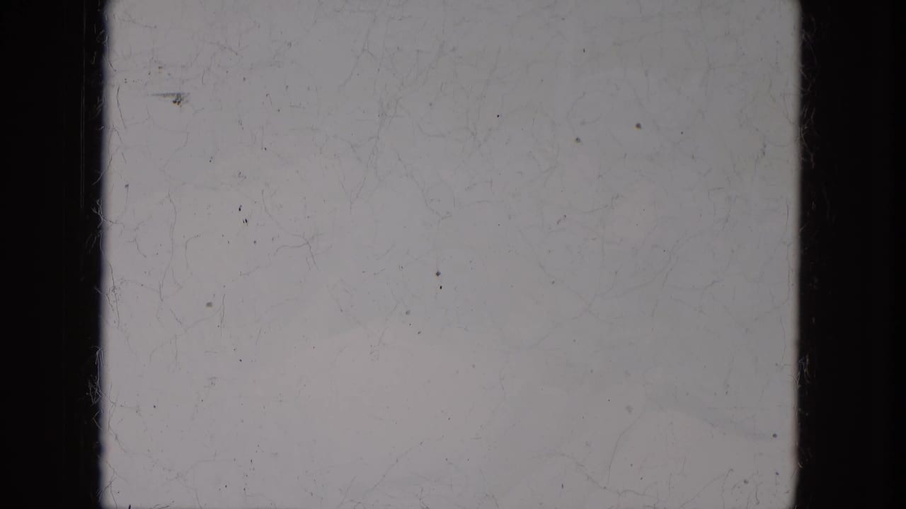 Pale 8mm film frame area with dark side borders, dust, scratches, and grain.