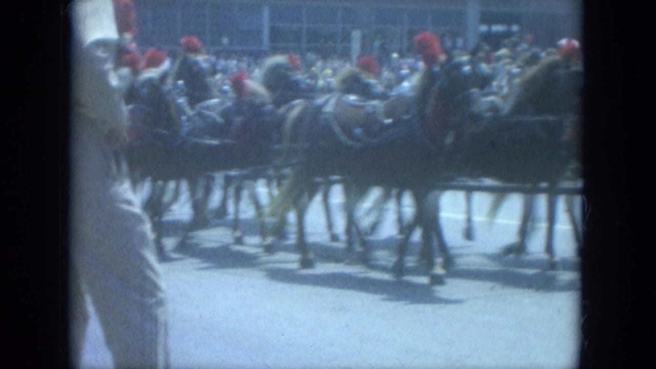 Horses with red headpieces pull a parade vehicle along a city street.