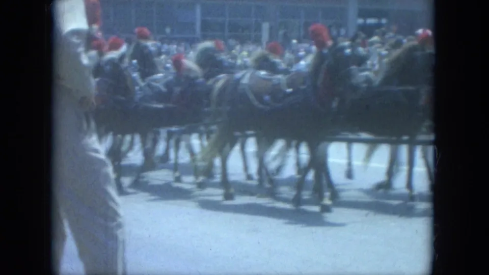 A team of horses wearing red headpieces moves through a Milwaukee street during the 1966 circus procession.