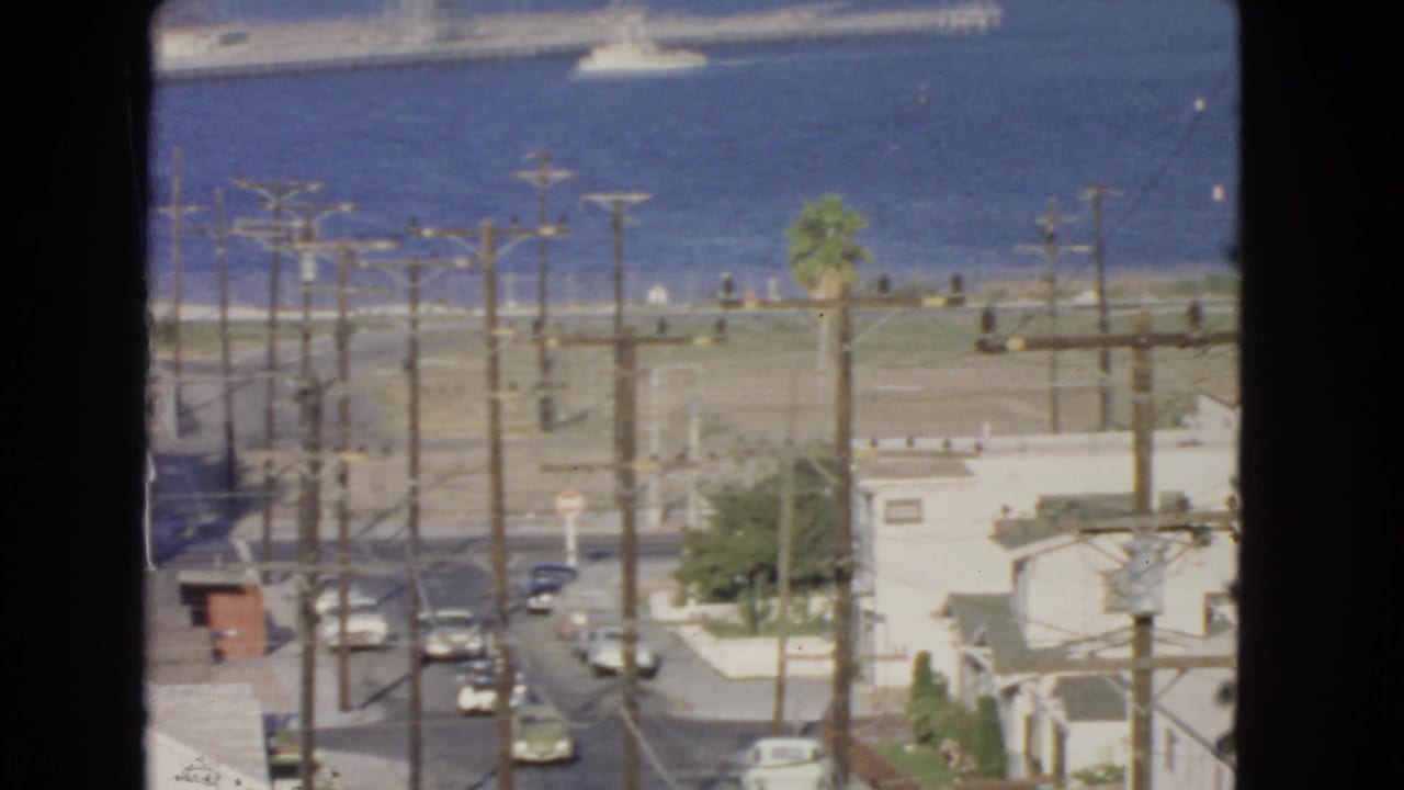 Harbor-facing street scene with water beyond, utility poles, small houses, cars, and a palm tree.