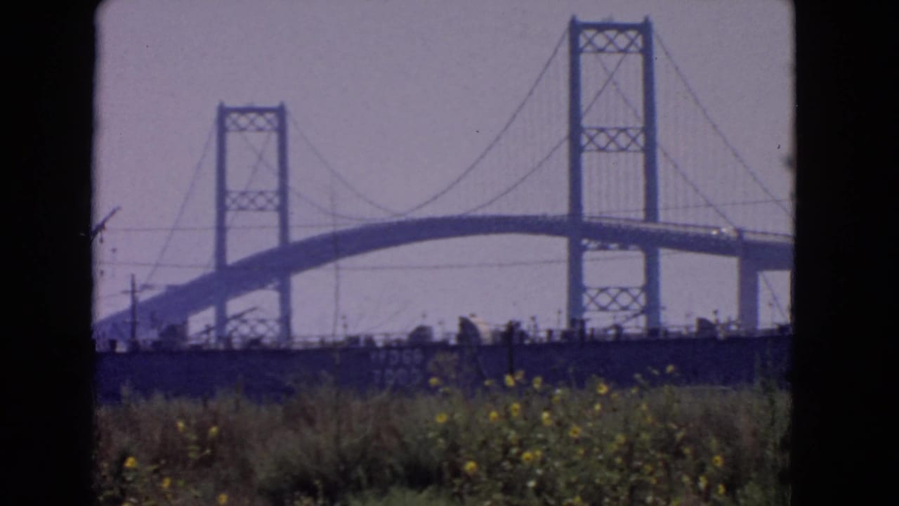 Suspension bridge beyond grasses and yellow wildflowers near the shore.
