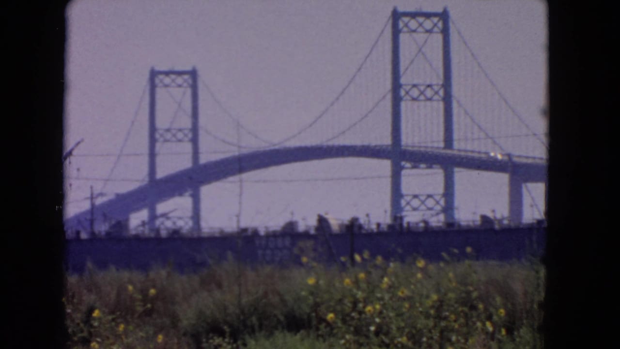 1966 San Pedro bridge view with the main span and towers crossing the frame above grasses and small yellow flowers.