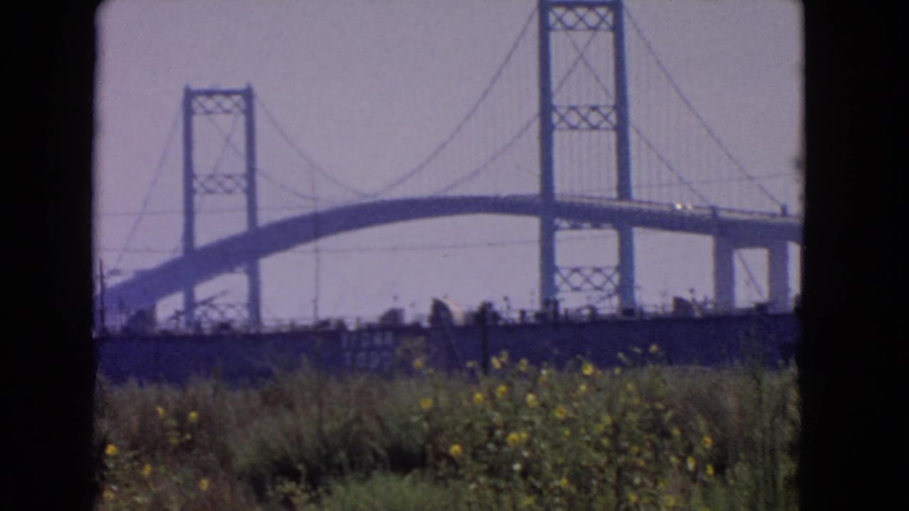 1966 San Pedro bridge span and towers filmed from shore, with wildflowers and grasses visible along the lower edge.