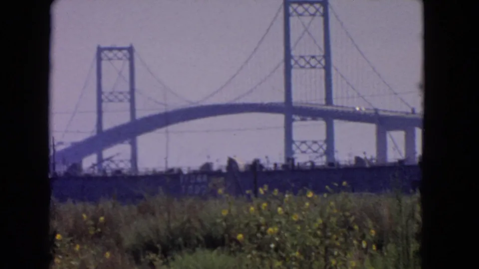 1966 San Pedro bridge span and towers filmed from shore, with wildflowers and grasses visible along the lower edge.