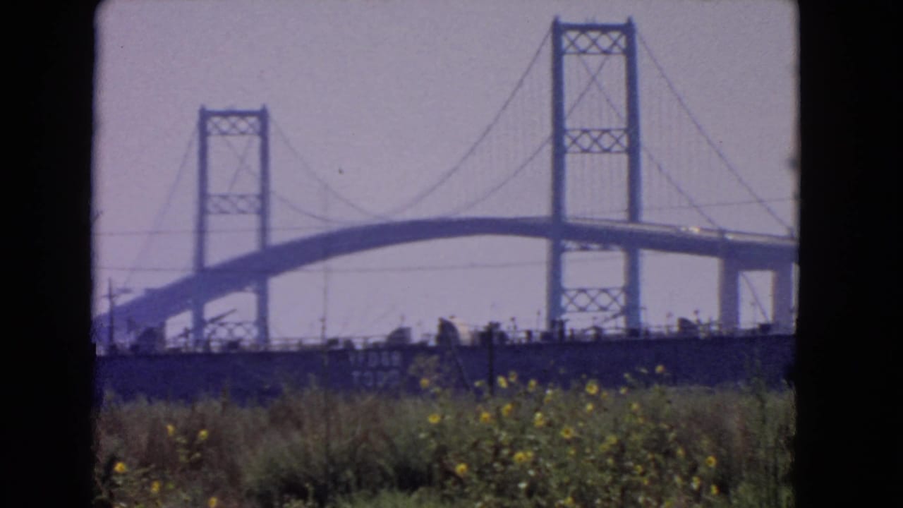 Suspension bridge seen beyond grass and yellow wildflowers under a hazy sky.
