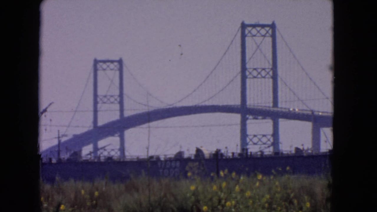 Bridge span and towers viewed across grass with yellow flowers in the foreground.