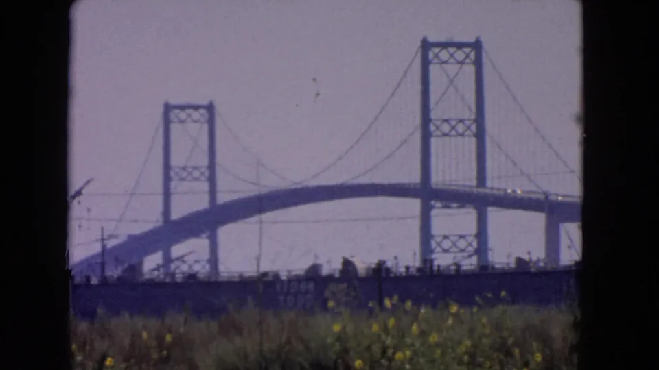 1966 San Pedro 8mm frame with bridge towers, curved span, cables, grass, and yellow wildflowers in the foreground.