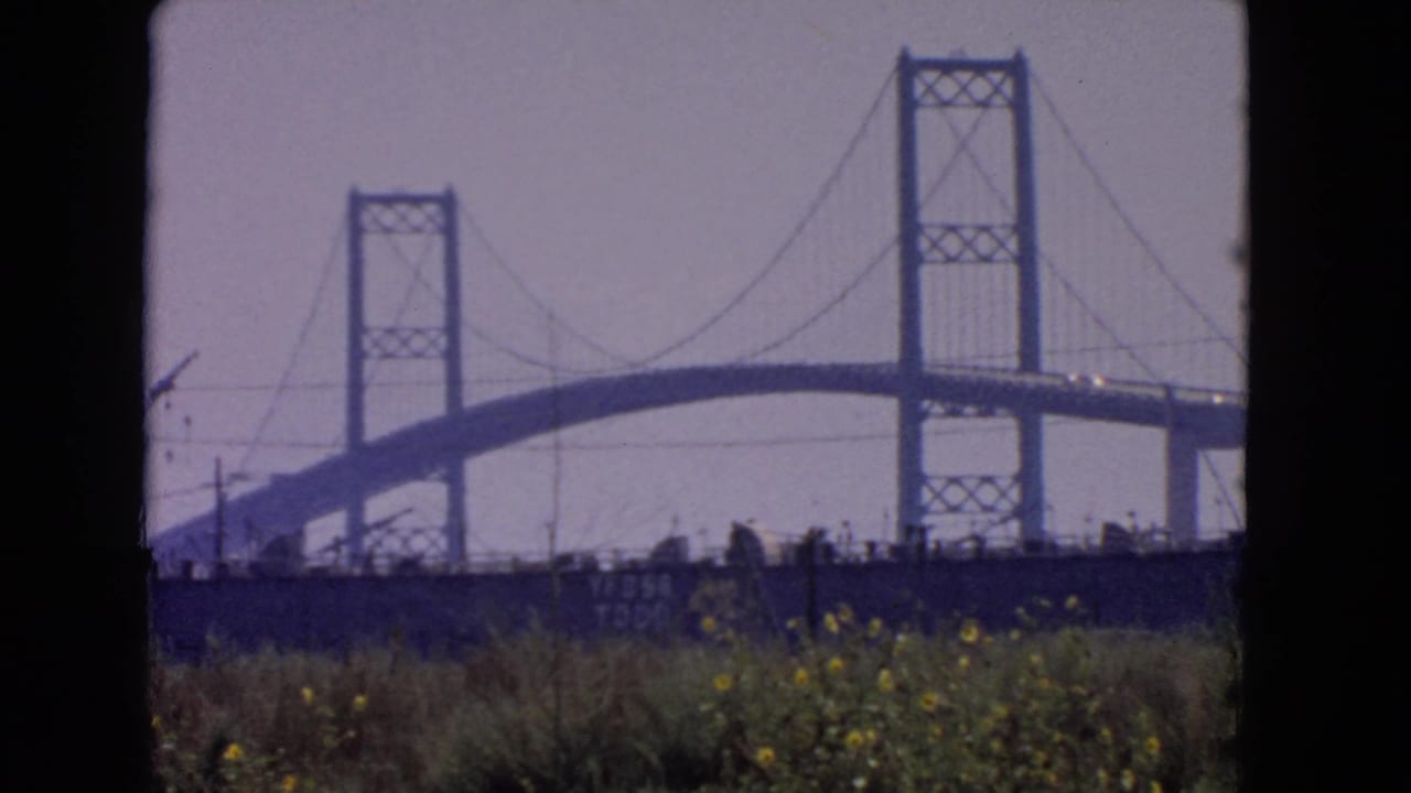 San Pedro, California home-movie frame from 1966 showing the bridge softened by 8mm grain and foreground vegetation.