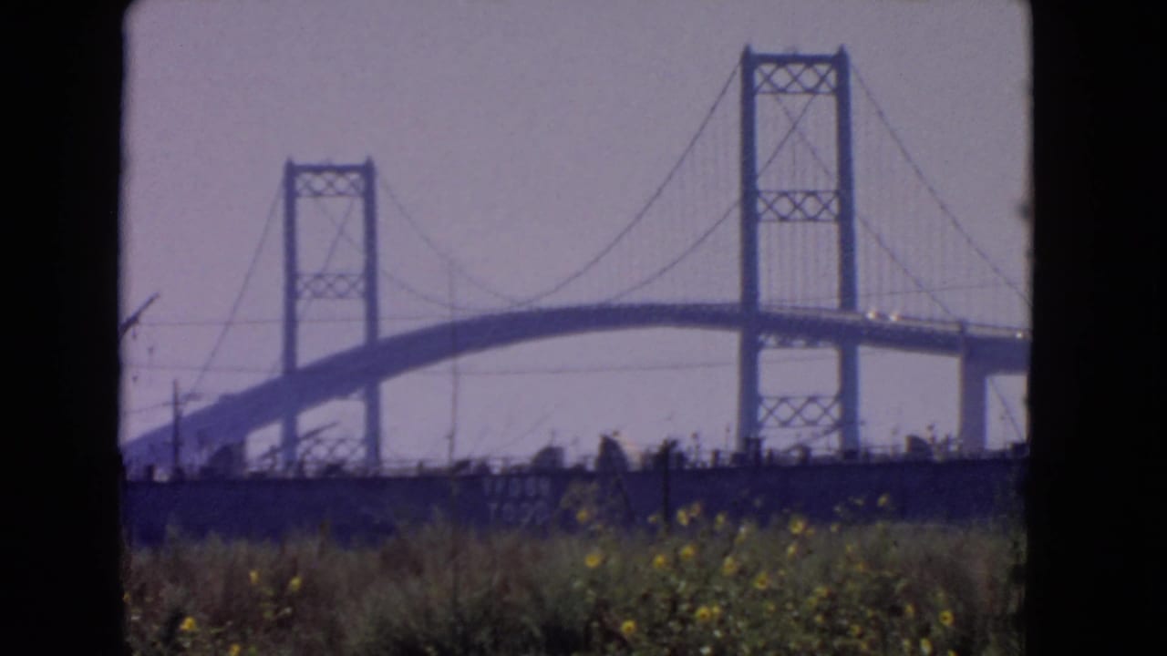 Final 1966 San Pedro frame holding on the bridge towers and cables above a low foreground of grass and wildflowers.