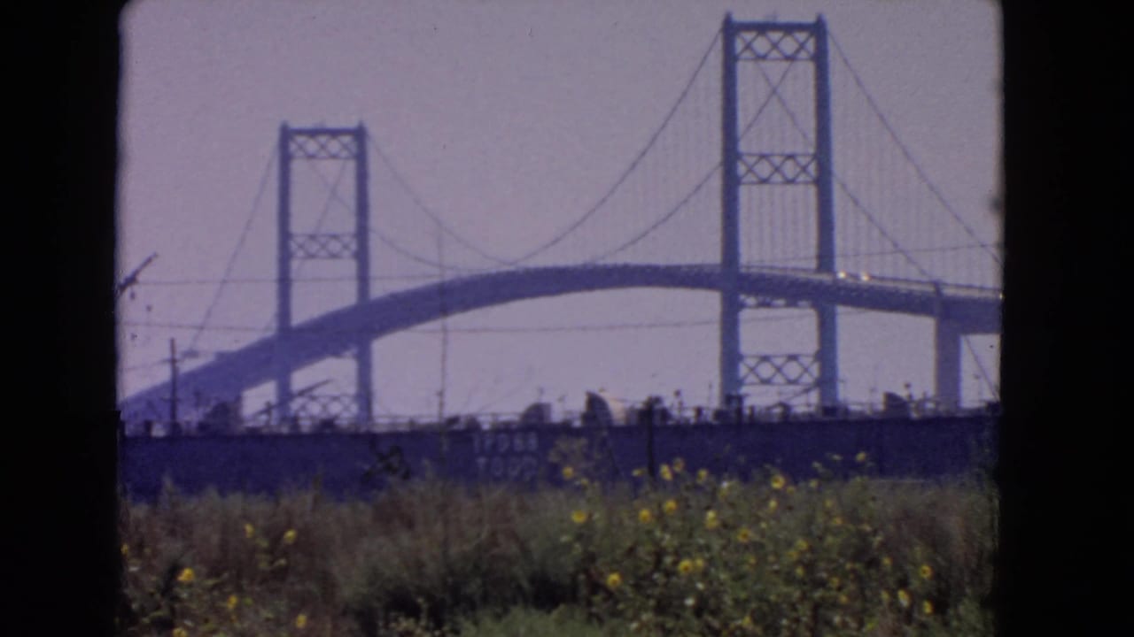 1966 San Pedro view of a suspension bridge under construction, framed by foreground grass and yellow wildflowers.