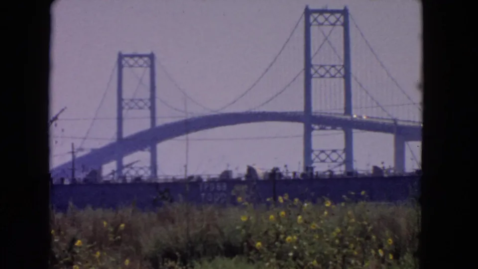 1966 San Pedro view of a suspension bridge under construction, framed by foreground grass and yellow wildflowers.