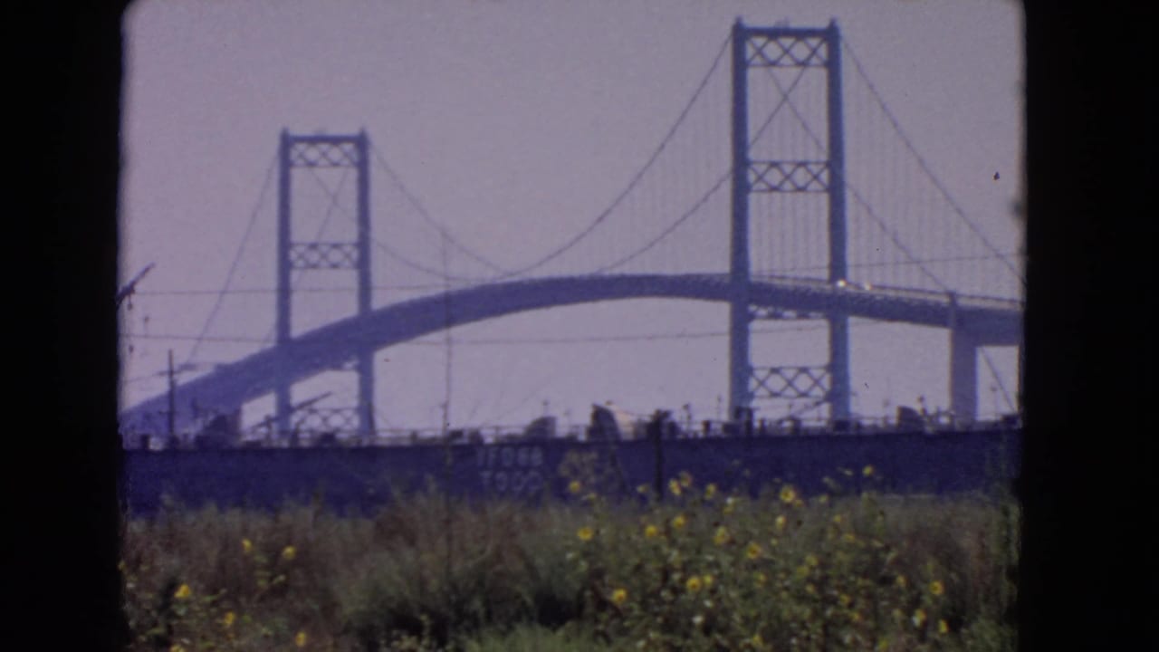 Bridge towers and cables rise behind a grassy foreground with yellow flowers.