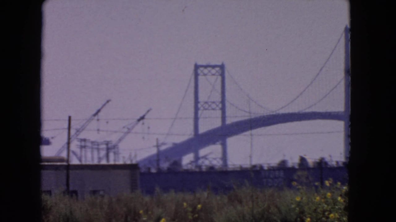 Vincent Thomas Bridge seen beyond roadside vegetation and industrial cranes.