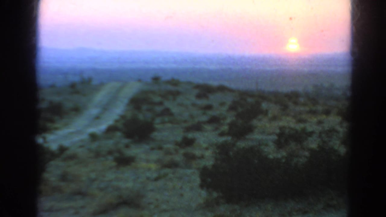 Soft sunset view over a dirt road and low desert vegetation.