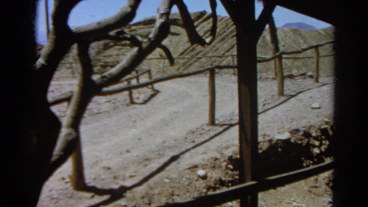 A late frame looks past branches and shaded posts toward railings, dry ground, and a rocky hillside in the 1966 Silver Lake home movie.