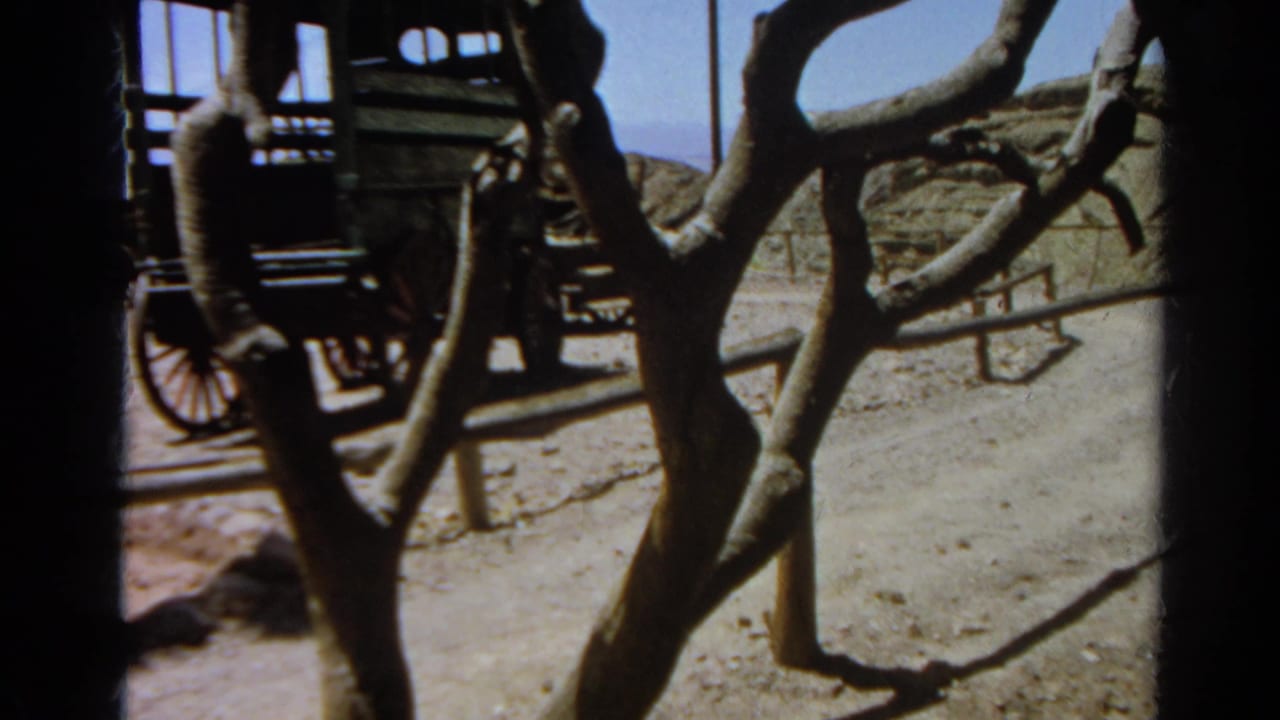 Wooden carriage and spoked wheel seen through branches in a 1966 Silver Lake 8mm home-movie frame.