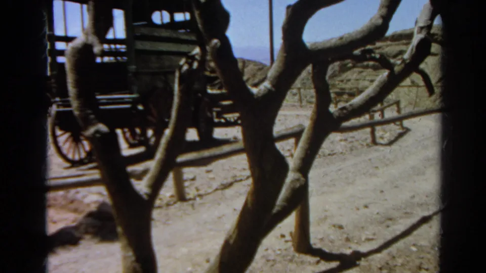 Wooden carriage and spoked wheel seen through branches in a 1966 Silver Lake 8mm home-movie frame.