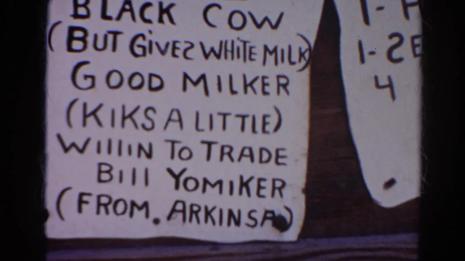 1966 Silver Lake 8mm frame showing a humorous handwritten notice for a black cow described as a good milker and willing to trade.