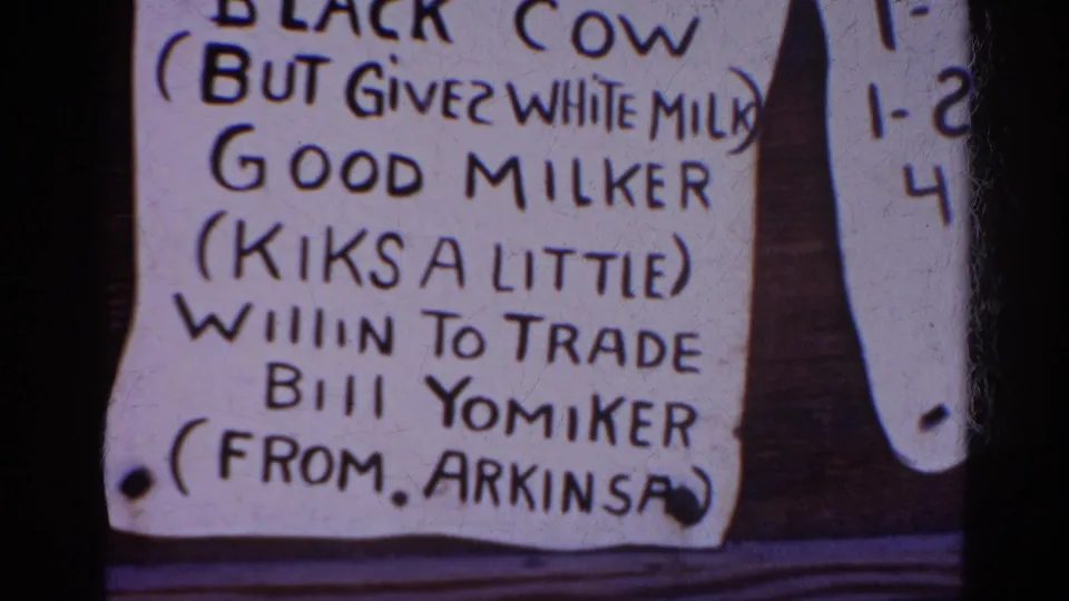 Close 8mm view of a handwritten Silver Lake bulletin-board sign advertising a black cow and trade offer, with surrounding paper notices cropped.