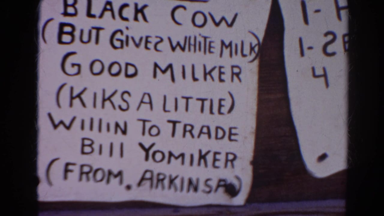 Second close-up of the same handwritten black cow trade sign.