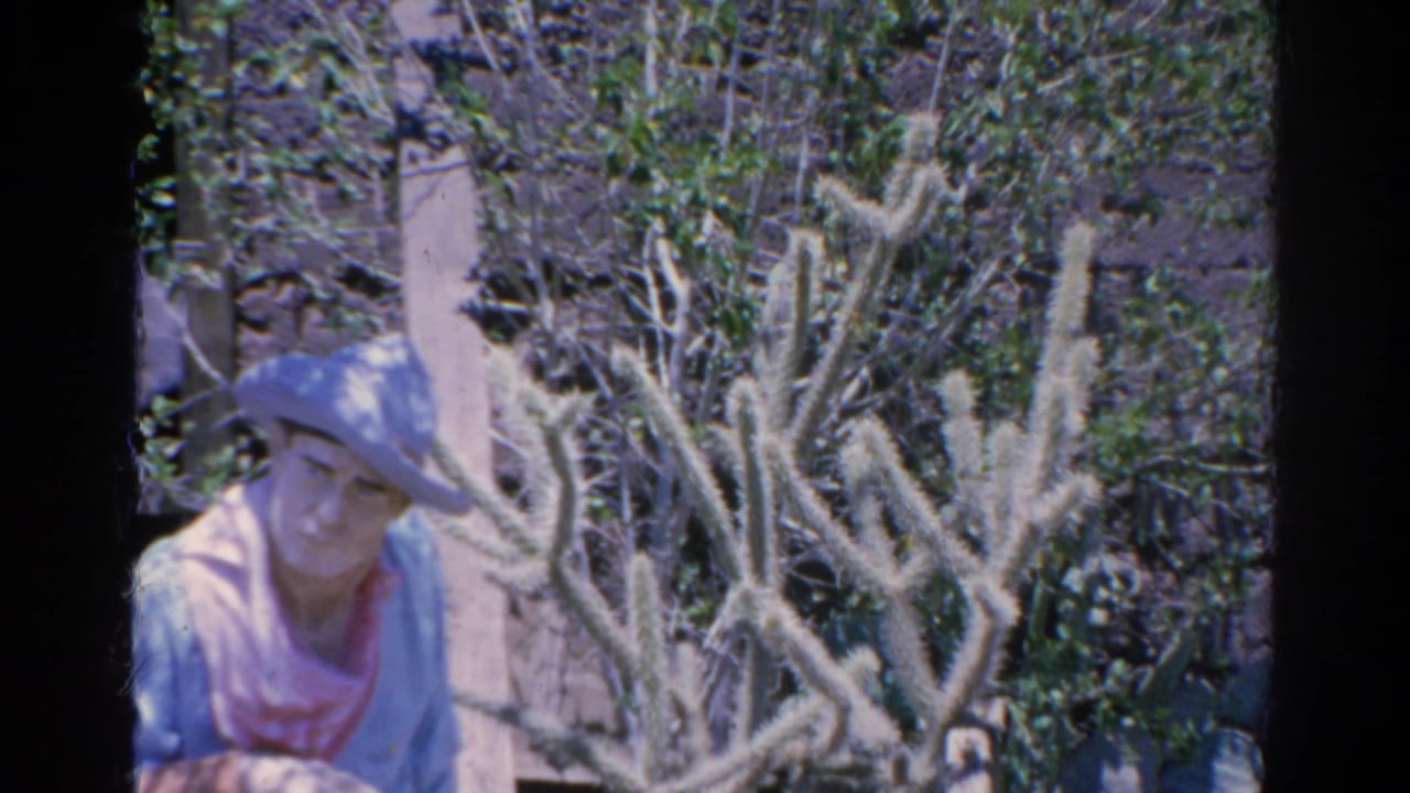 Man in a cap beside cactus and dry garden vegetation.