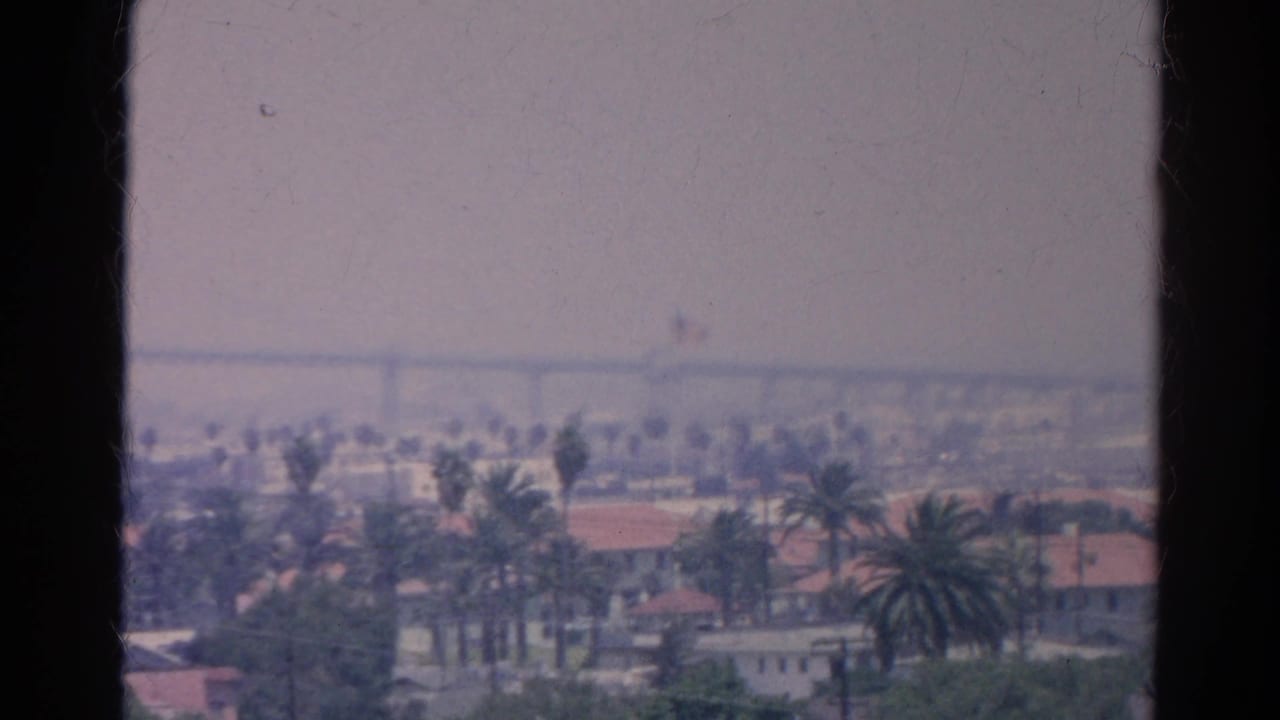 Hazy elevated view of palm trees and red-roof houses with dark vertical frame edges.