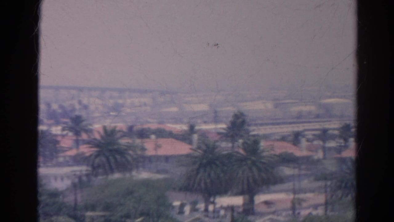 Palm-lined neighborhood with red roofs and a distant hazy horizon.