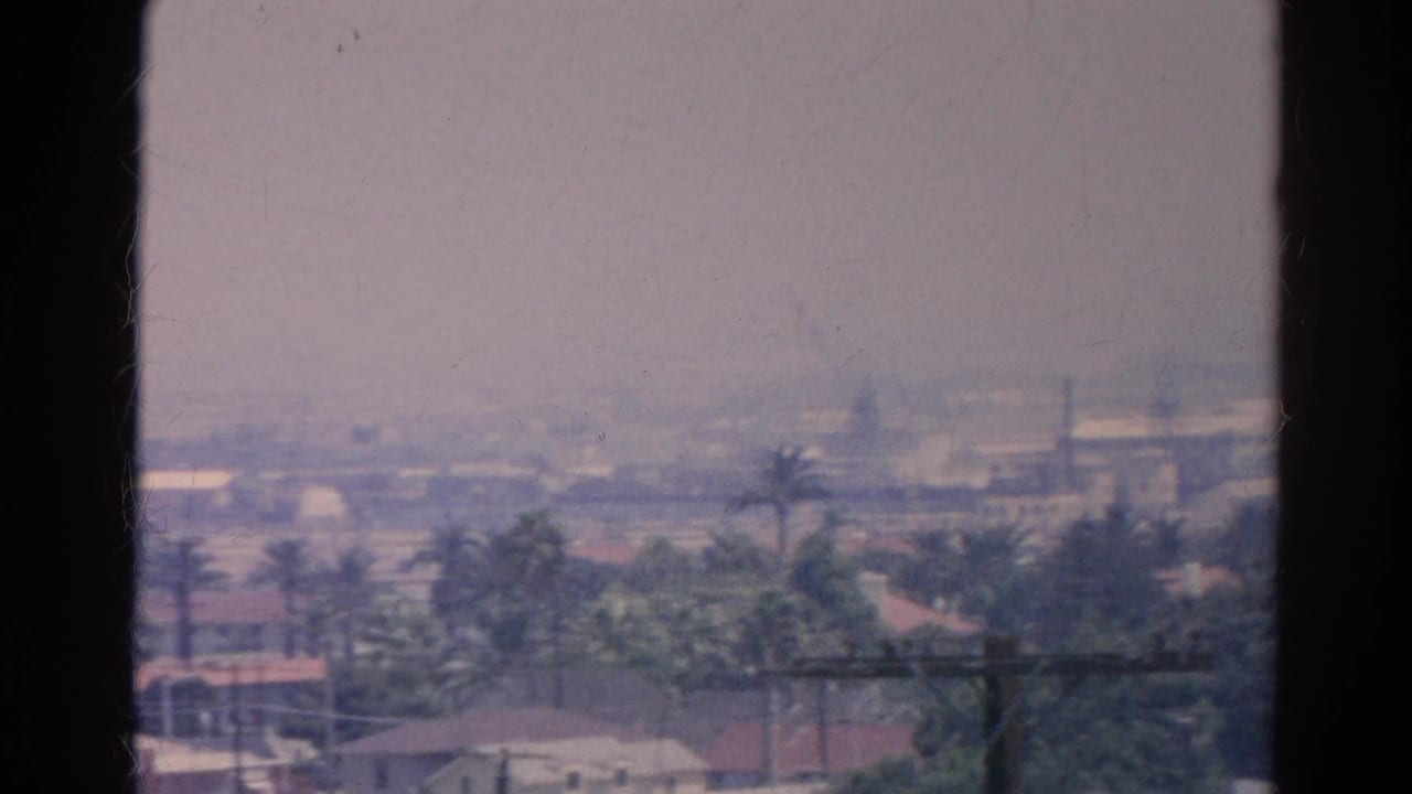 Hazy suburban view through a window with rooftops, palm trees, utility lines, and distant industrial buildings.