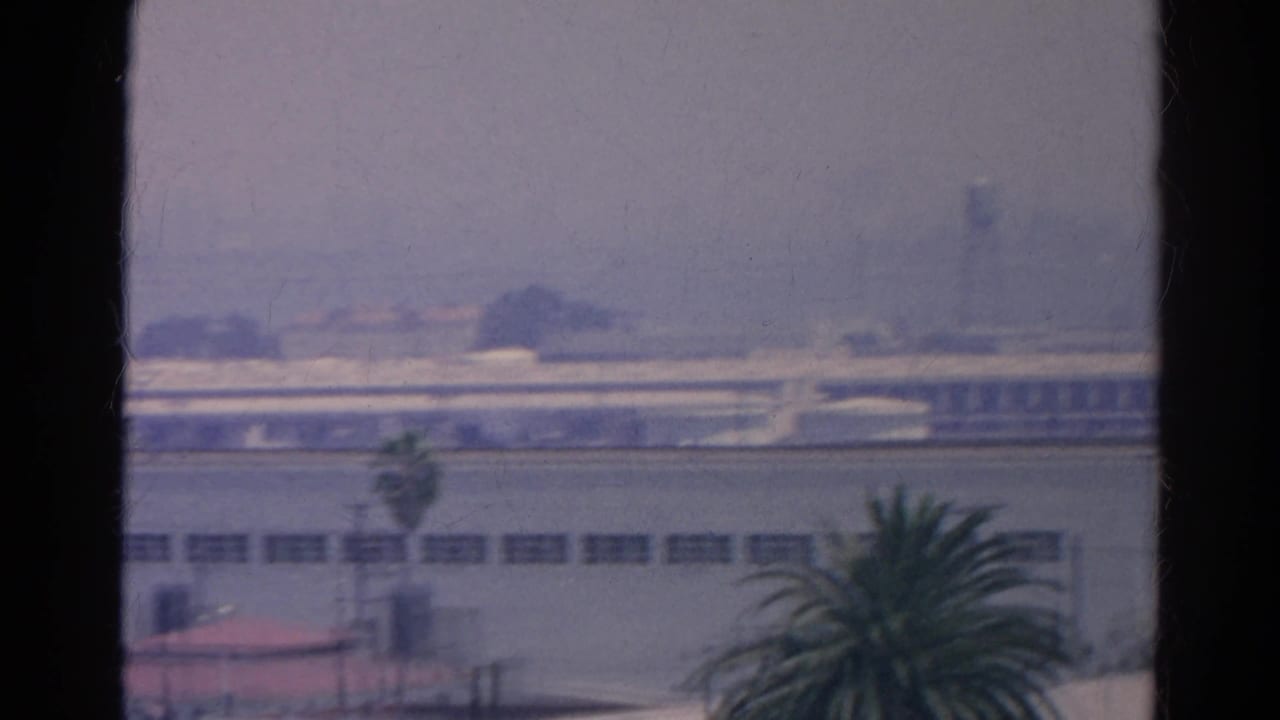 Industrial rooftop and palm trees partially divided by a vertical window mullion.