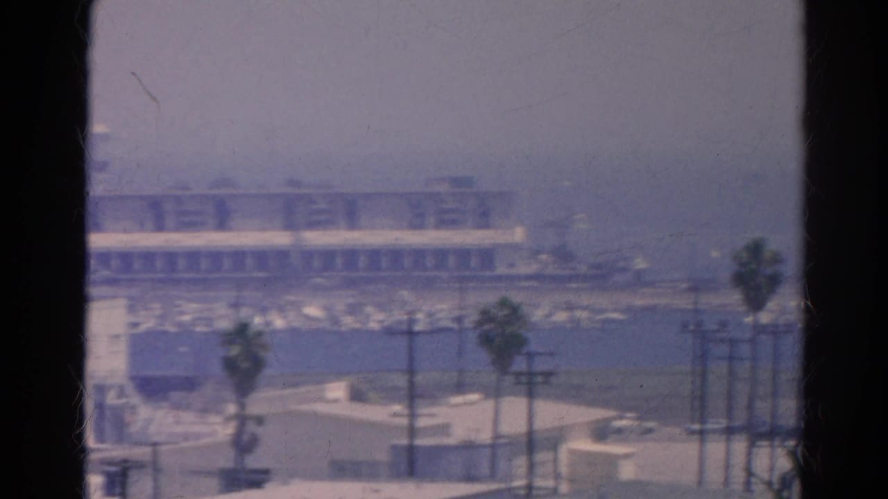 Hazy waterfront skyline seen through dark window framing with palms and low buildings.